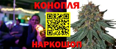 индика Лесосибирск