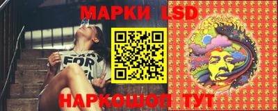 индика Лесосибирск