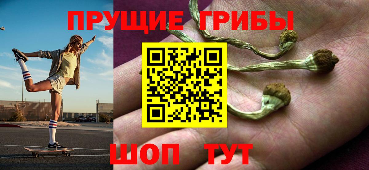 Псилоцибиновые грибы мухоморы Будённовск