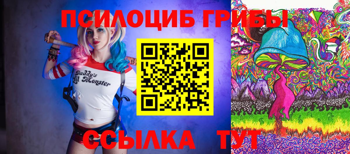 Галлюциногенные грибы Psilocybe  Вход с VPN  Псилоцибиновые грибы ЛСД  Будённовск 